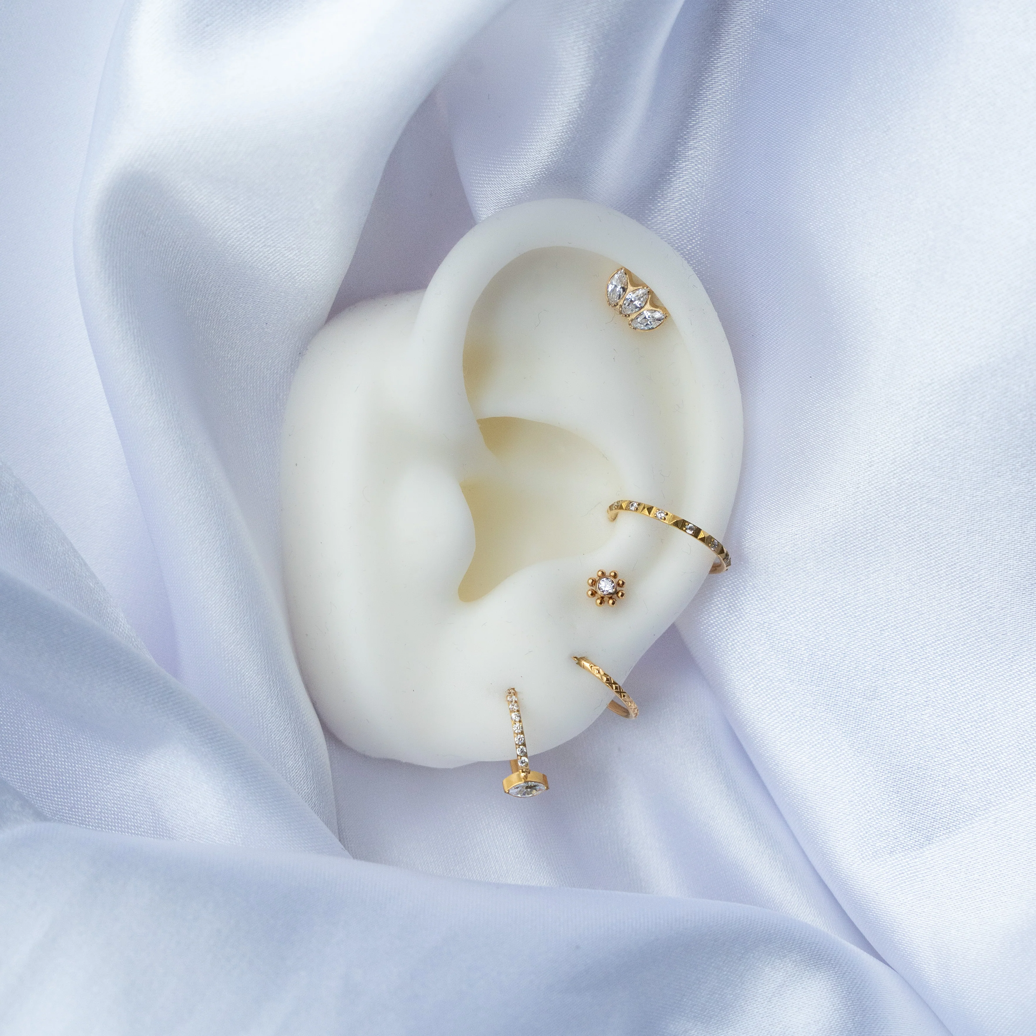 MARQUISE - Image 4