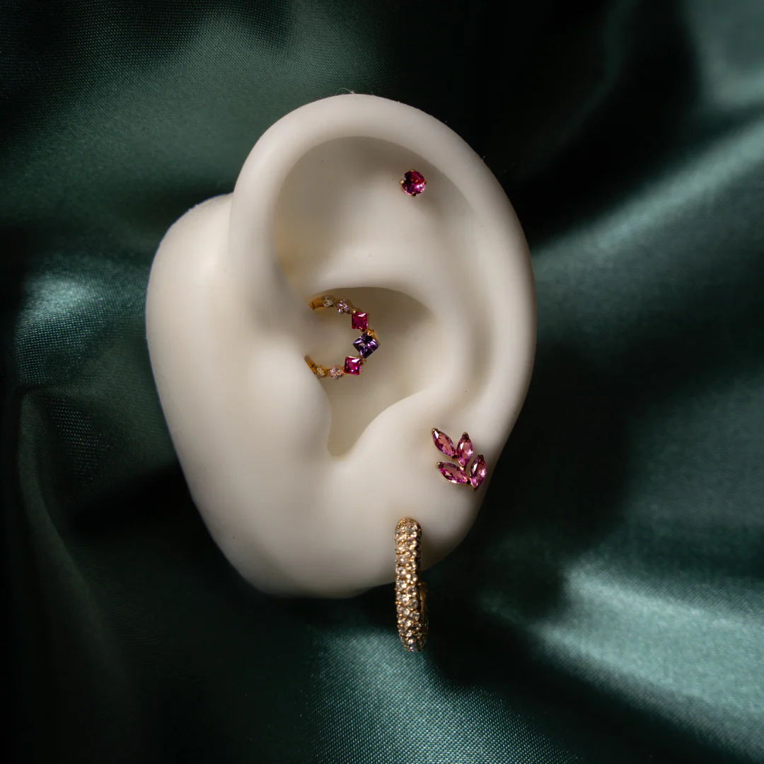 ROSSINI - Image 3